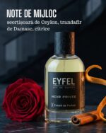Extract de Parfum unisex Eyfel NOIR PRIVEE 100ml-lemnos ambrat - imagine 7